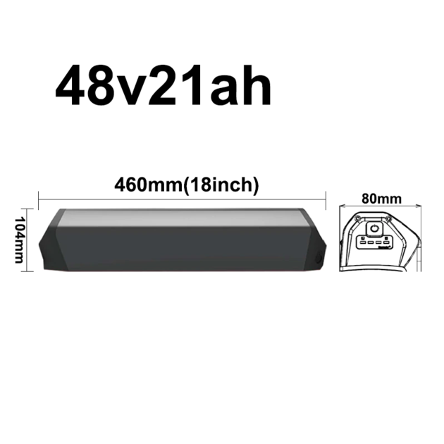 48v 21ah Reention Dorado Battery 48v