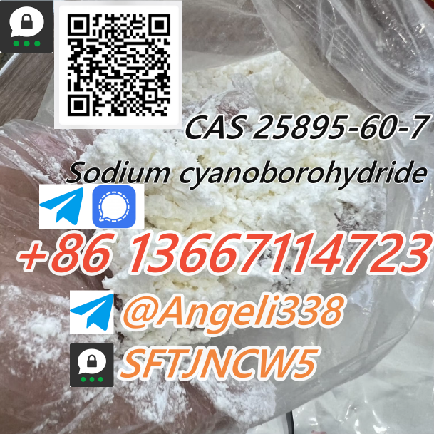 CAS 25895 60 7 Sodium Cyanoborohydride