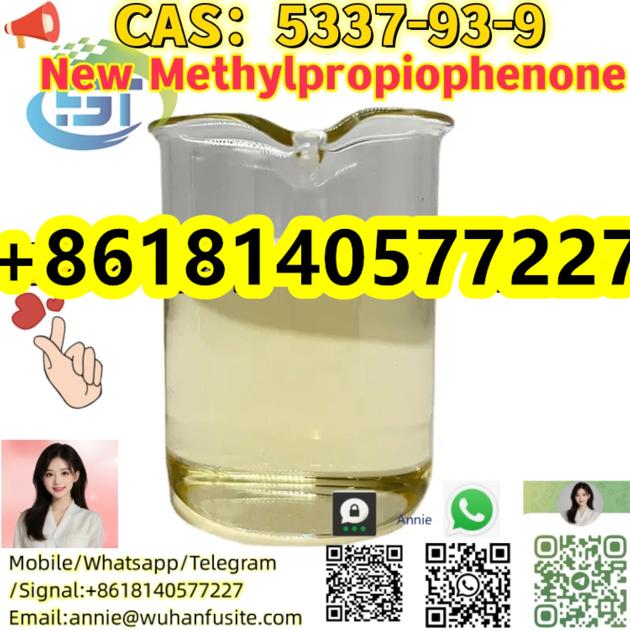 Best Price Safe CAS 5337 93