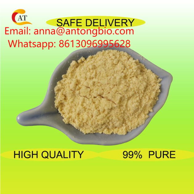 Spot Supplies PMK CAS 28578 16