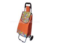 Shopping bag/Shopping cart/Shopping trolley