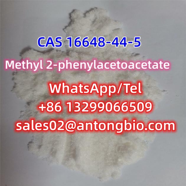 Benzeneacetic Acid BMK CAS 16648 44