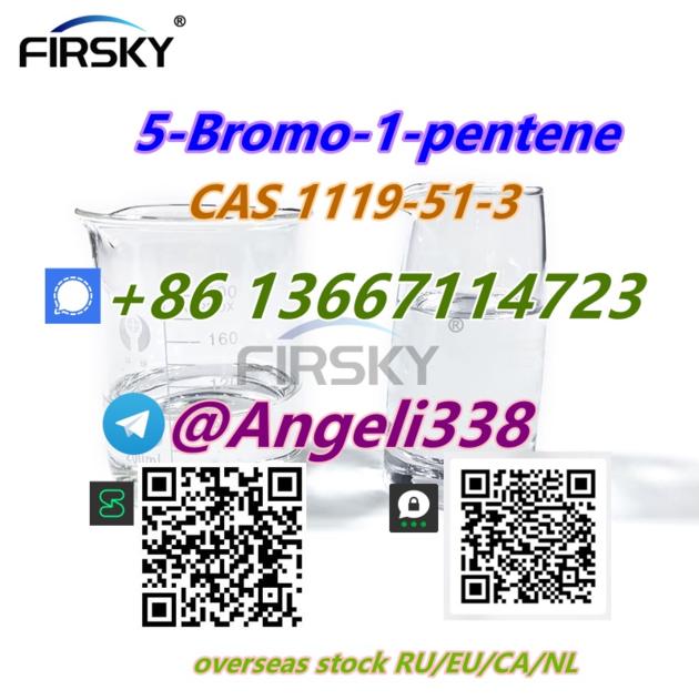 CAS 1119 51 3 5 Bromo