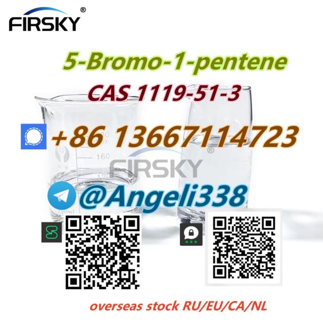 CAS 1119 51 3 5 Bromo