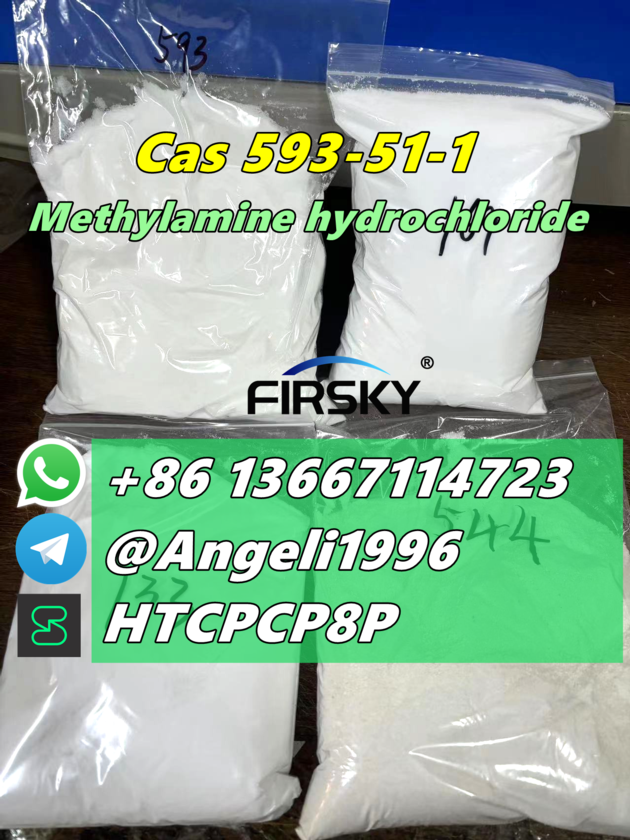 Cas 593-51-1  Methylamine hydrochloride Threema: HTCPCP8P