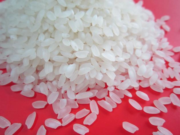 Calrose Rice 