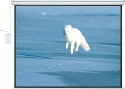 Motorized Screen
