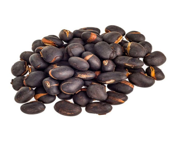 Mucuna Pruriens