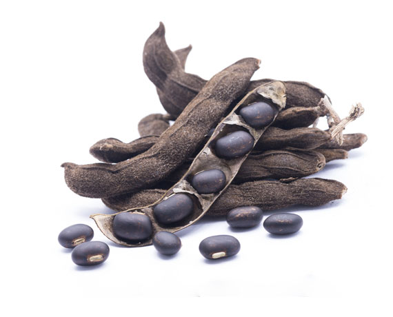 Mucuna Pruriens
