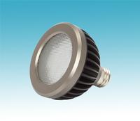 led PAR30 