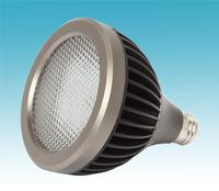 led PAR38