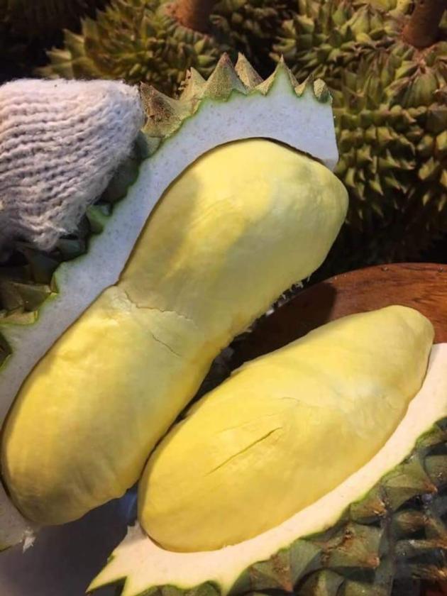 Monthong Durian