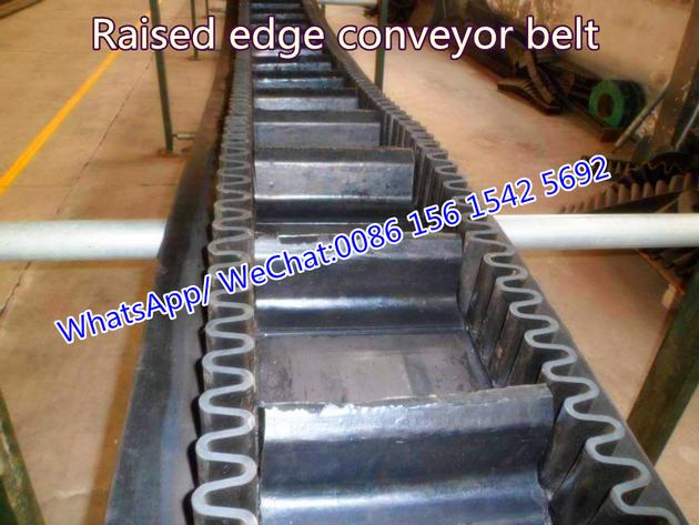 Sidewall conveyor belt