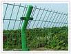 mesh fence(security fencing)