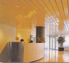 False ceiling System
