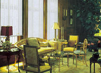 Window Blinds