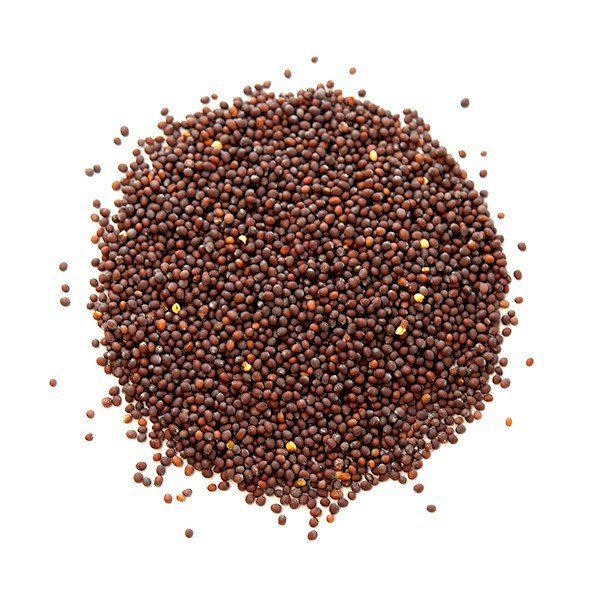 Indian Spices