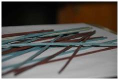 Diffuser Rattan Sticks