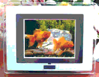 Digital photo frame