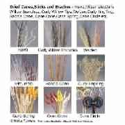 dried flowers,dried branches