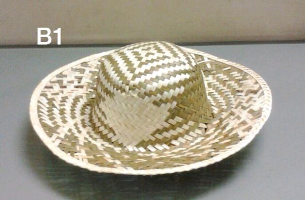 Palm leaf Hats