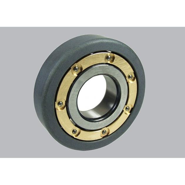 Insulated motor bearing