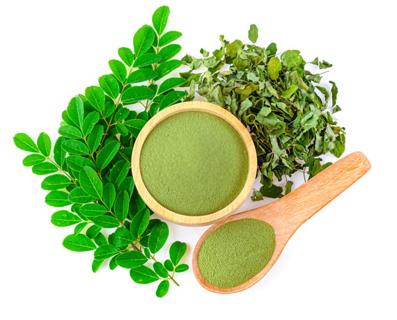 Moringa Powder