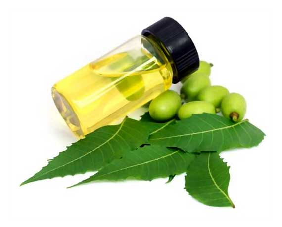 Neem Oil