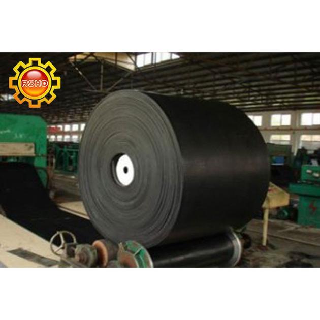 Oil resistant conveyor belt