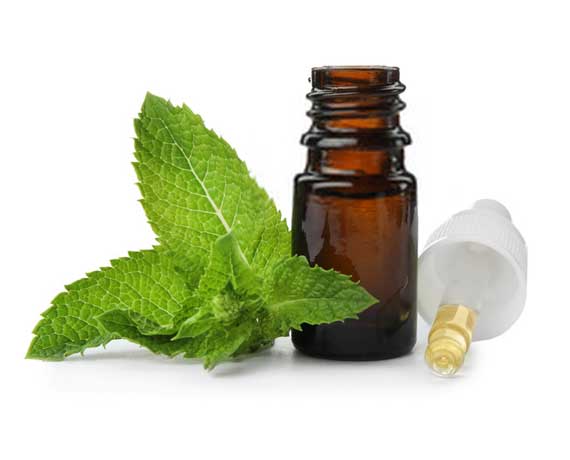 Peppermint Oil