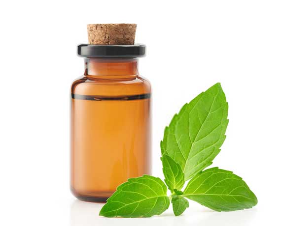 Peppermint Oil