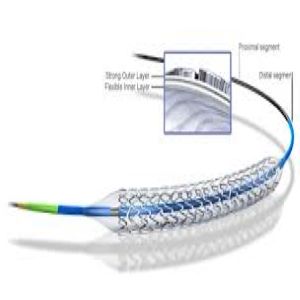 Boston Scientific Promus Element Plus Stent 