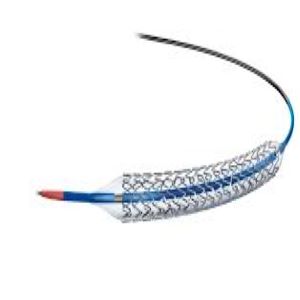 Boston Scientific Promus Premier Stent