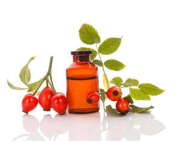 Rosehip Oil