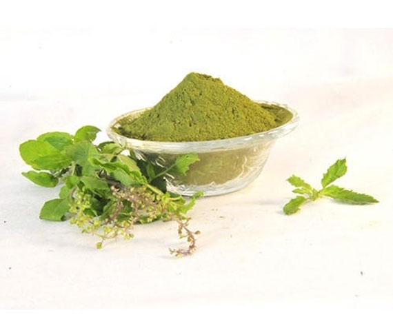 Tulsi Powder