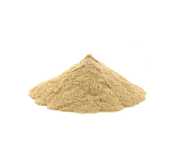 Shatavari Powder