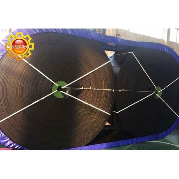 Steel cord conveyor belt
