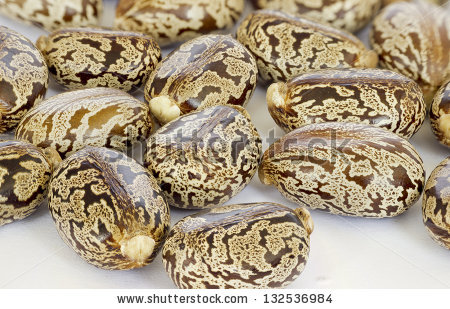 Castor oil