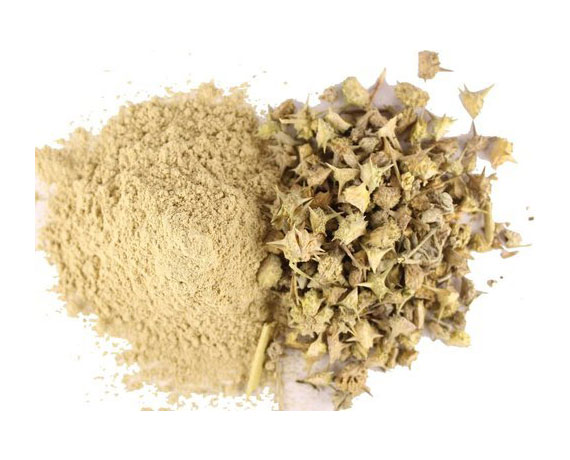 Tribulus Terrestris Powder