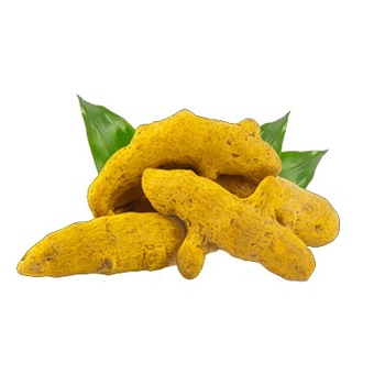 Turmeric Fingers