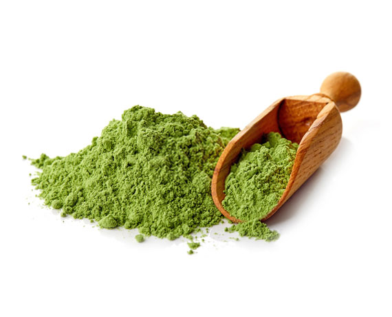 Wheatgrass Powder
