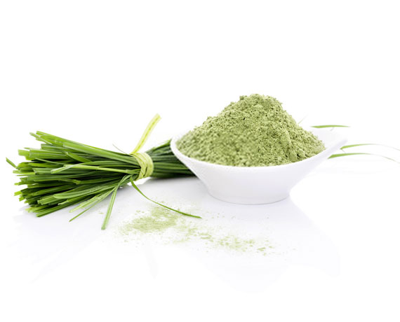 Wheatgrass Powder