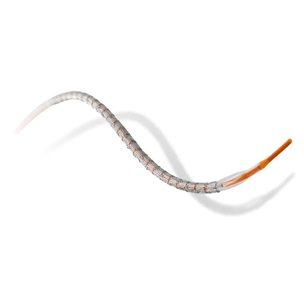 Xience Prime Stent Surgical Stent Coronary