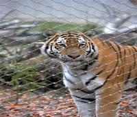 Zoo Enclosure Mesh,Bird Netting