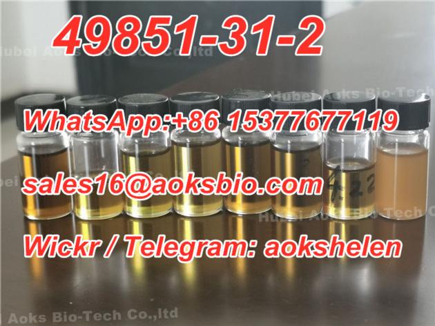 99 CAS 49851 31 2 China