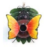 Bird house,weird butterfly