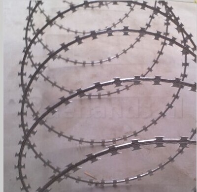 Single coil concertina razor wire