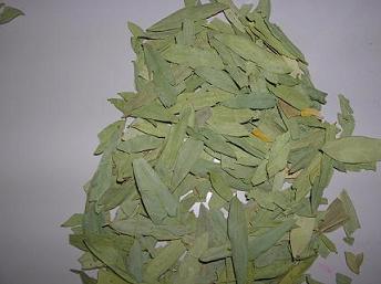 Senna leaves Senna pods senna t cut