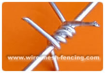 Barbed Wire