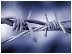 razor wire fencing